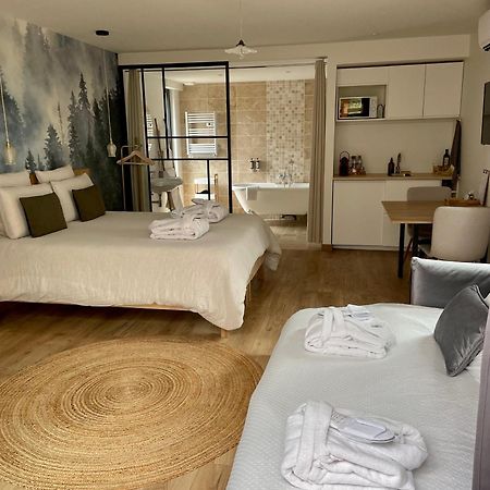 Madame Imagine, Lodges & Spa 埃皮纳勒 外观 照片